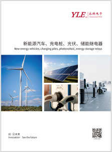 Yonglin New Energy Relay Catalog
   
