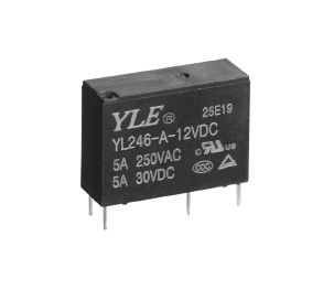 YL246
   